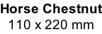 Horse Chestnut 110 x 220 mm