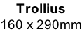 Trollius 160 x 290mm